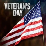 Logo of Veterans Day Greeting, Wishes, Quotes, GIF android Application 